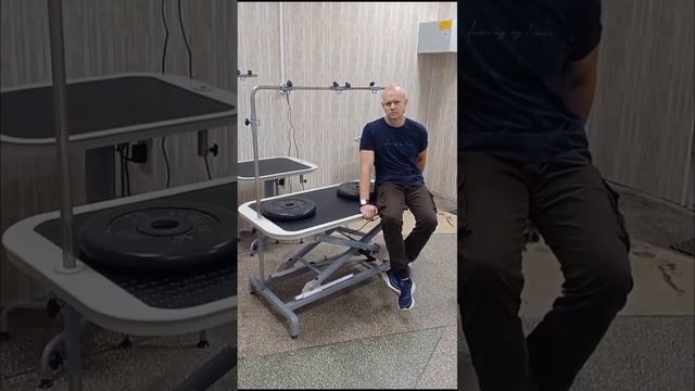 Стол для груминга 1200 с электроприводом смотреть онлайн