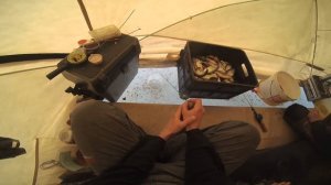 Рыбалка в Шарыпово. Березовкая ГРЭС она же "труба"