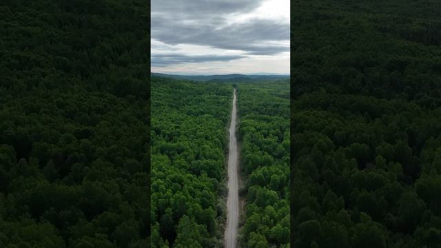 Зейский заповедник в Амурской области