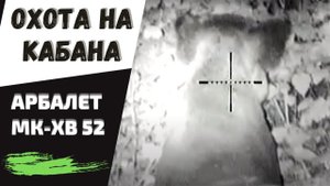 ОХОТА НА КАБАНА с арбалетом МК-ХВ52