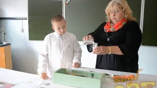 ХОЧУ ВСЁ ЗНАТЬ! смотреть онлайн