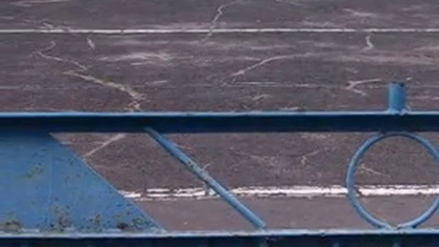 Липецкая выставка 06.06.10 081.avi смотреть онлайн