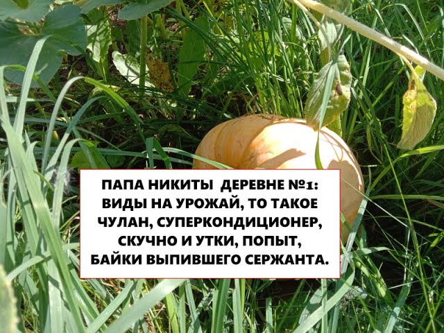 Папа Никиты в деревне. История №1