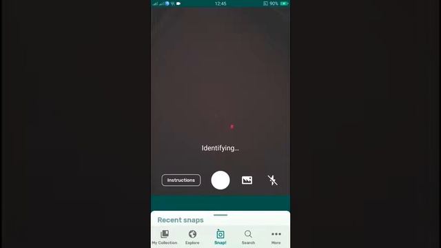 PlantSnap identifies a Western Meadow-Rue (Thalictrum occidentale) смотреть онлайн