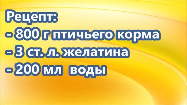 Кормим птиц зимой, еда из желатина. Кормушки для птиц смотреть онлайн