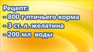 Кормим птиц зимой, еда из желатина. Кормушки для птиц