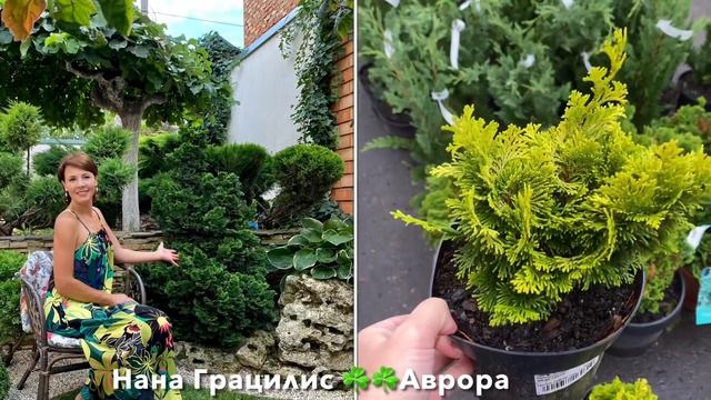 СОЗДАЁМ САД! Приехала за новинками растений, идеями для сада.