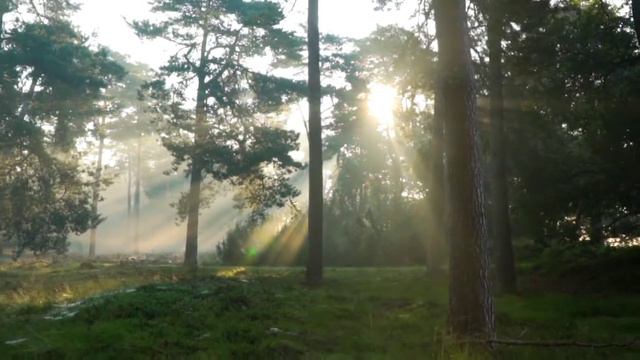 Вдохновляющая природа! Хороший контент