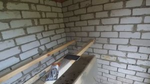 АЙТИШНИК завел кур. Как обустроить насест? Нужен ли поддон?