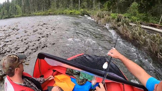 В ДЕБРИ за ХАРИУСОМ, мы там ПЕРВЫЕ, идем через завалы, образцовые избы. КАНТЕГИР. смотреть онлайн