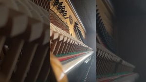 Patrik Pietschmann - The Way of Hope - Open Piano