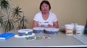 Как посеять и вырастить сельдерей из семян.Сельдерей листовой,черешковый и корневой -всходы.