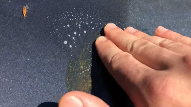 Как убрать смолу тополя с машины смотреть онлайн