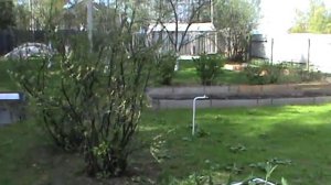 Участок Трудовая северная