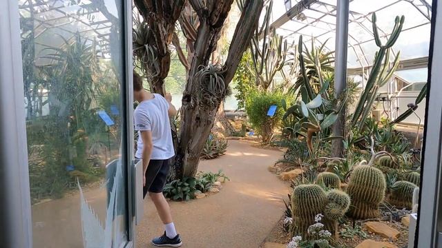 Оксфорд смотреть онлайн