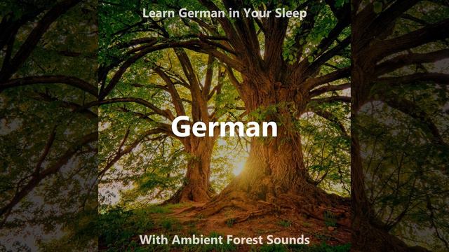 Learn German Words: Ich - I смотреть онлайн