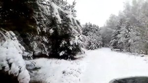Отравленный. Романс. Николай Гумилев.