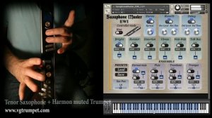 Saxophone Master EWI Kontakt library. Sound Test. Sax, Flute, Trumpet