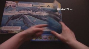 Музыкальная книга "Книга океана" Великаны. Азбукварик. Видео-обзор