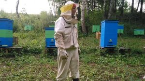 Продажа мёда с личной пасеки