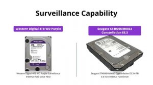 WD Purple vs Seagate Constellation - Which Surveillance HDD is Better?