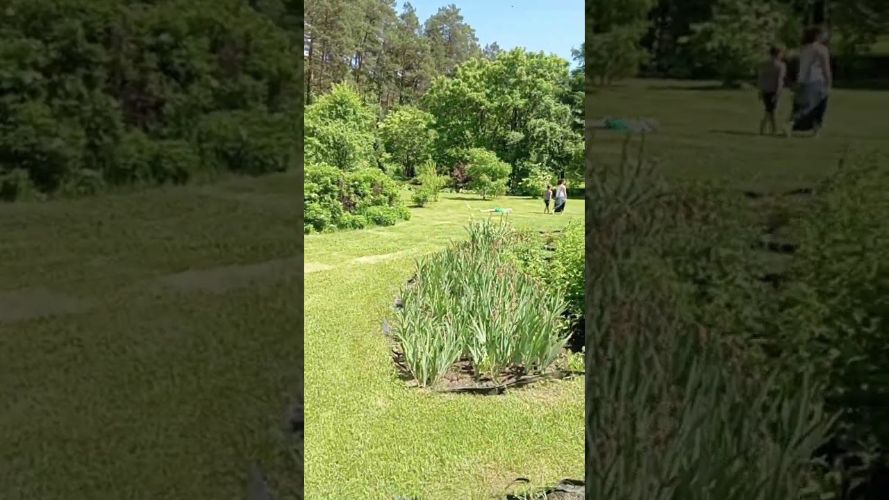 горный алтай ботанический сад смотреть онлайн