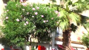 Cote d'Azur - Antibes - Juan les Pins (France) ЛАЗУРНЫЙ БЕРЕГ ЖУАН ЛЕ ПЕН АНТИБ