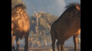 энтелодон (адский кабан)