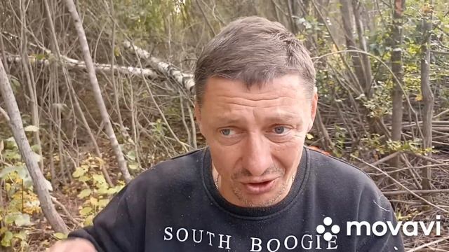 Через Лебедь,на лесоповал..