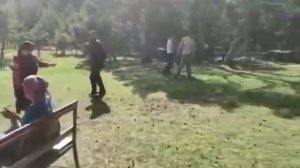 живой зурна барабан зажигательный