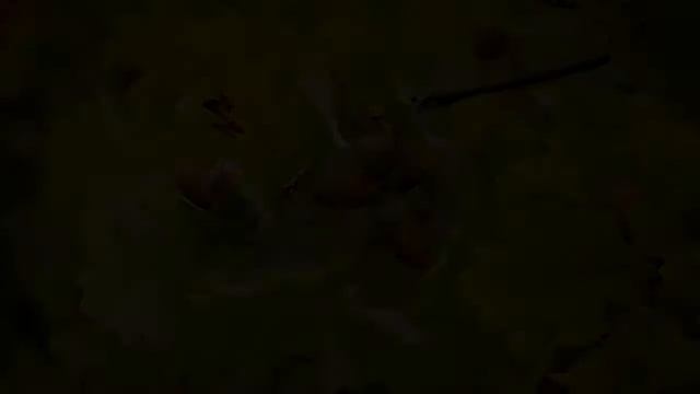 царства природы смотреть онлайн