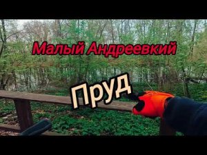 Прогулка по экотропе. Андреевские пруды. #4k Walk along the eco-trail. Andreevskie Ponds