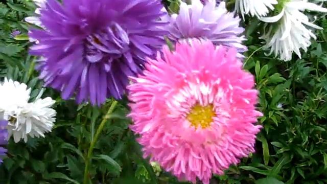 Наталія Горішна 32-ге серпня