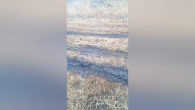 Мотороллер муравей по бездарожью смотреть онлайн