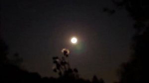 Русская Гармонь Частушки Измайловский парк