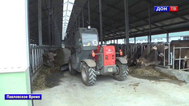 Открытие молочного комплекса в с. Бабка. г. Павловск Воронежской обл смотреть онлайн
