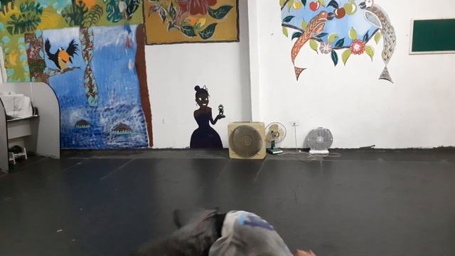 testa cdo capoeira movimentos смотреть онлайн