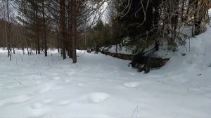 САМЫЕ ДОСТУПНЫЕ СНЕГОХОД КВАДРОЦИКЛ 2023