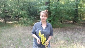 Юлианна Колдовко про коровяк: магические свойства 🔥