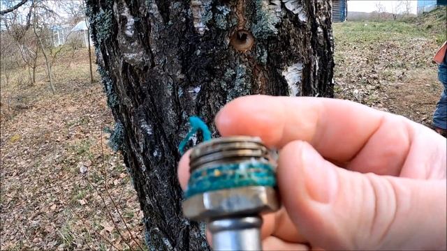 Сантех подводка + кега от пива. Собираем березовый сок. смотреть онлайн