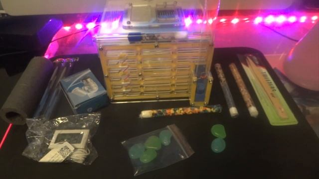 Муравьиные фермы + Муравьи размер 15-12-10 см смотреть онлайн