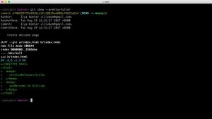 2.4 Git – Основы – Git show, кто такие автор и коммиттер