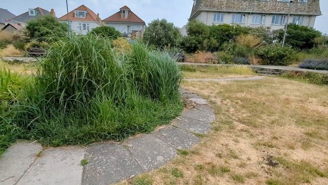 My FIRST Micro Four Thirds camera! Olympus Pen E-PL7 смотреть онлайн