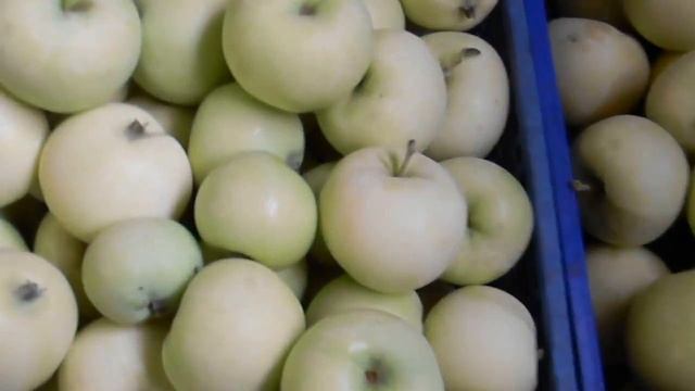 Урожай Белого налива смотреть онлайн