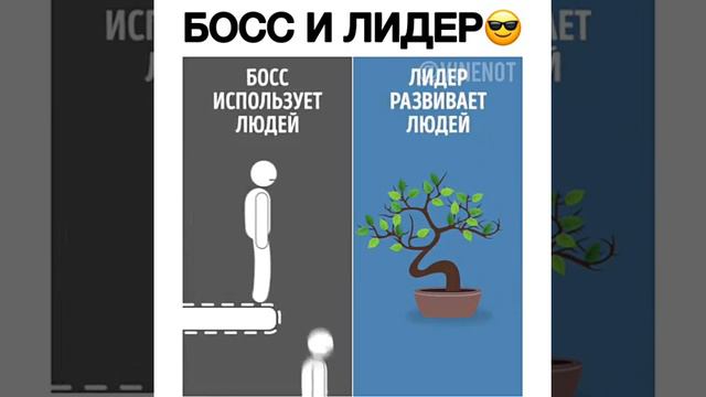 БОСС И ЛИДЕР смотреть онлайн