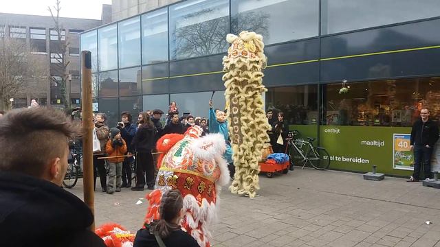 Китайский Новый Год! смотреть онлайн