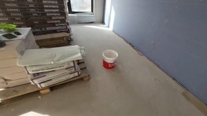 ЗНАКОМИМСЯ С МАЛЯРНЫМ ФЛИЗЕЛИНОМ