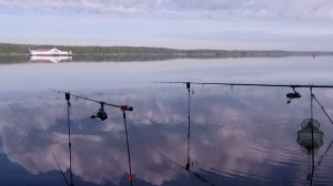 Зашёл за бровку неподъёмный экземпляр .