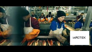 Линия ручного потрошения форели и семги NMG 10