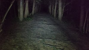 велофонарь offbondage 1400 lm